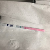 排卵日的第9天，昨天第八天验血没有，今天排卵测试纸弱阳，还是以抽血为准的吧