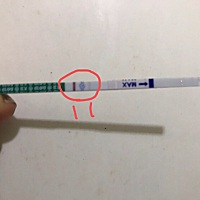 这是算刚刚怀上吗？