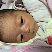 熬得不行了，一天只睡几个孩子，一醒就哭，要抱着，他的肚子咕噜咕噜的响，不知道是不是哪里不舒服，抱...