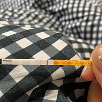 是怀孕了吗？ 麻烦大家帮我看一下，末次1月26号，害怕炸胡