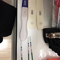 末次月经1月13日，3月1日测出发现怀孕，2月20日至27日期间蜜月旅行跳伞，深潜，还到处乱跑，吃东西还不...