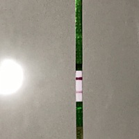 今天早上刚测的，月经推迟了3天了，帮忙看看判定一下……