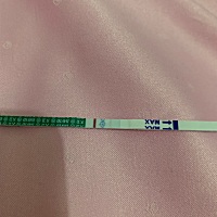 这是什么情况，2019年2.2号来的月经，正常28天，今天还没来，晚上测出来的结果