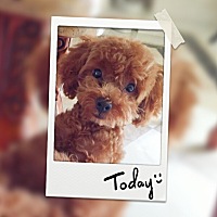 今天自己带娃第一天，早上起床先带宝宝去打预防针。回来把娃哄睡，洗衣做饭，收拾家里，中途还出去丢了...