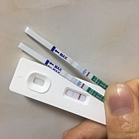 各位亲，2月1日来姨妈，3月1日测到这样，是怀孕了吗？