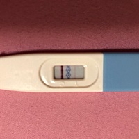 这是不是有小猪来了？