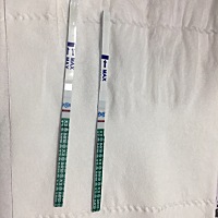 1月24号来的月经，排卵期同房了。同房到现在已经15天了，也还没有来月经，今天测了是这样，请问是怀孕了...