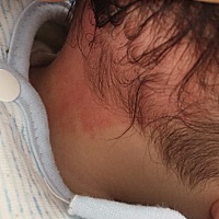 好像在开始淡了