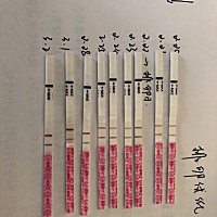 这是排卵试纸测试的，据说排卵试纸比早孕试纸更早能测试出来，有可能怀孕吗？