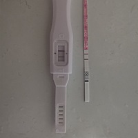 请问这算怀孕了吗？？