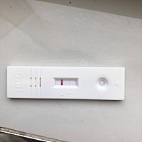 上月1号来的例假、这月没有来、这是不是怀孕了
