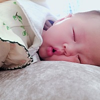 话说趴着睡对身体好，这不小脸都快压变形了💋