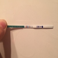 我是一月三十号来的月经，这个月推迟了两天，大家帮忙看看是不是怀孕了。