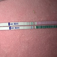 急急急，帮忙看看中了没 上面粉色是排卵试纸 下面绿色是早孕试纸