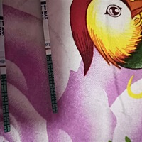 末次是二月四号，这是怀了吧？姐妹们帮看看，上面的是昨天晚上的，下面的是早上刚测的