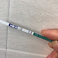 2月2号的末次月经 33天左右的周期 21号排卵期 22号同房 第十天 正常来说还差三四天来姨妈 这是有两根吗