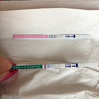 刚又测了一次 排卵试纸和zzy 懂的小姐姐帮忙看看～ 2月3末次月经 今天排卵后15天的样子 小腹近期火辣辣 ...