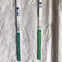 姨妈过了几天了 终于测出这样的不知道是不是姨妈快来了导致的假阳性呢 可丽蓝显示未怀孕 你们有没有这种...