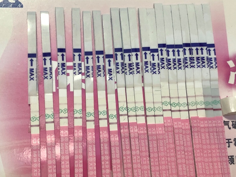 大家好，后七条是昨天和今天测的，为什么两天了，排卵试纸还这么深，莫非排卵可以排好几天的。