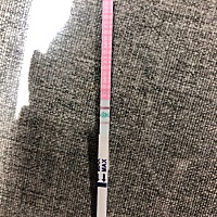 大家帮看看排卵期了吗？～日历记录是今天呐