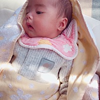 女宝宝？男宝宝？傻傻分不清鸟