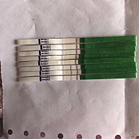 姐妹们这个是排卵了吗？