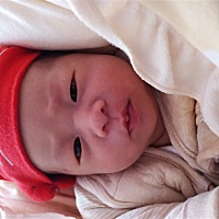 还不睡，从昨晚开始就没怎么睡，