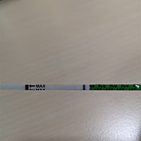 帮忙看看是否小猪猪驾到？