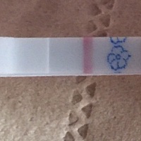 亲们，请问我这样的是不是怀孕了