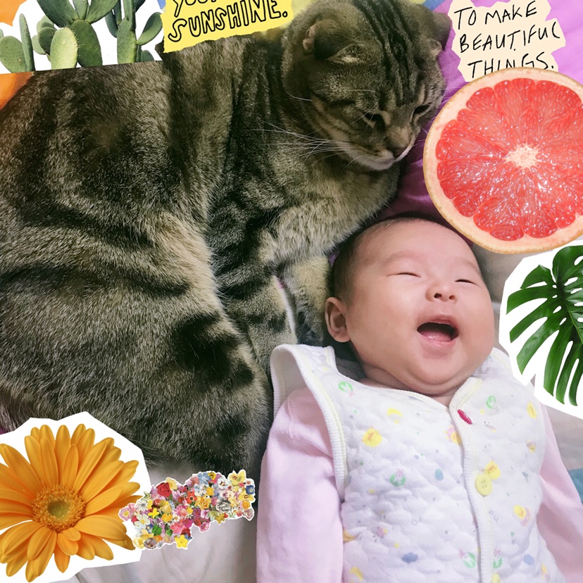 有没有宝妈有婆婆带宝宝 却喜欢自己带宝宝的 妈妈？附带一张准妈妈 准外婆 还有新上任的铲屎官（猫咪 全身检查过 定期驱虫洗澡 宝宝和喵总只是为了拍照才离得近 平常都会隔离 请勿喷 否则你会被我骂的很惨🌚）