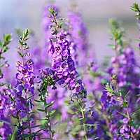 请问宝妈们，宝宝拉绿色便便跟浓鼻涕一样，或者是黄色絮状参杂着绿色粘液，这样是什么情况？精神良好，...