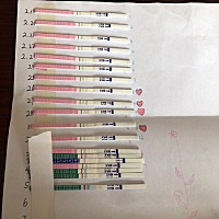 感觉每天都在对着这堆试纸瞧，末次2.14的月经，别人是套怀孕的症状，我一天比一天觉得像是大姨妈要来了...