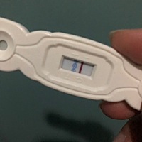 末次2/3排卵日20号，今天起来肚子痛，右腹刺痛，满满的姨妈感，刚刚一测，大白板，坐等姨妈