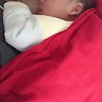 趴在麻麻身上睡的香香的💤