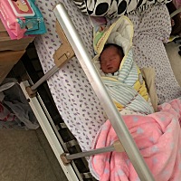 3号顺产6斤小乔治一枚，其中的过程不想再去回忆