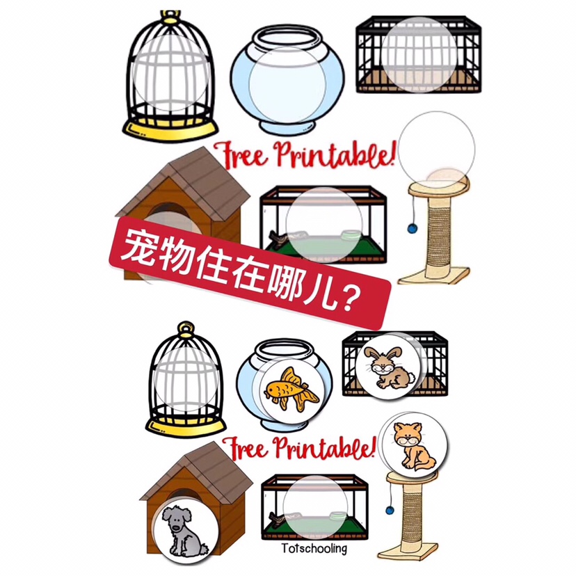跟孩子玩認識動物