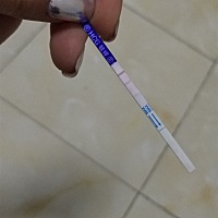 欢迎你 我的猪宝😗