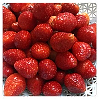 怀孕十周孕吐还在继续中。加油！超人妈妈👩！