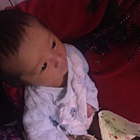 宝宝一个月的变化。从出生到现在刚好满月。小公主一枚。就涨了两斤…天天都拉尿好多次。纯母乳喂养是不...