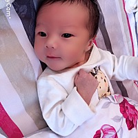 正月十二，上午10.59刨宫产男孩一枚，因羊水少，过程过半麻药已过开始各种肉皮疼痛，挤压子宫淤血哪叫一...