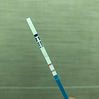 这两天下腹疼痛 姨妈推迟了两天 刚刚验孕纸测了 现在是有了吗