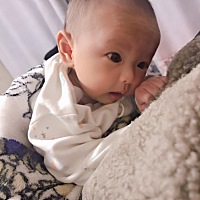 宝宝两个月10斤正常吗？最近都吃的很少，一天24小时才吃400毫升母乳🤯，特别是晚上睡觉后才起床2次，...