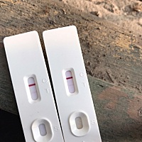 这是怀孕了吗？