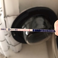 上个月8号来的大姨妈，今天早上测的 这是有了？