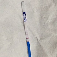 经期推迟6天了。早上起床测和下午测的，是怀孕了吗？