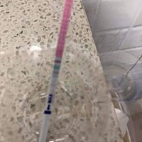 啪啪啪，能怀上不