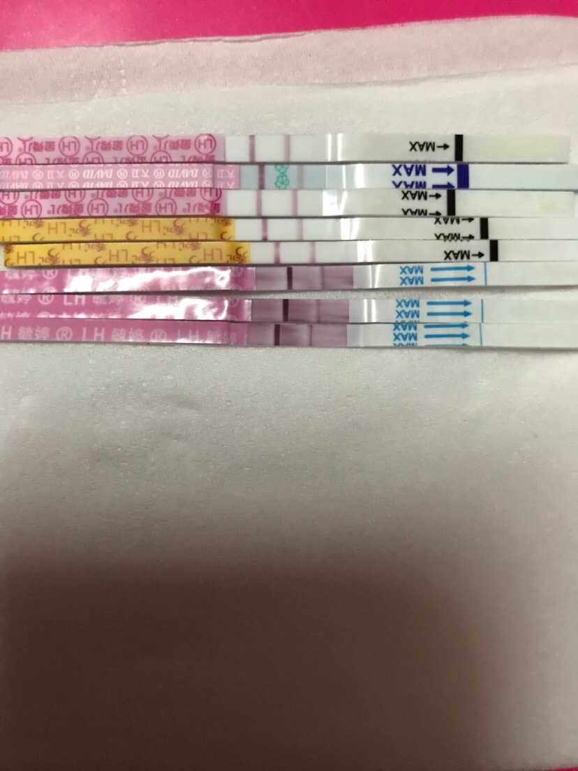 2月24号来例假，3月1号干净的，今晚测试排卵试纸结果是这样的，啥意思？