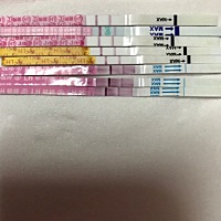 怎么回事？ 2月24号来例假，3月1号干净的，今晚测试排卵试纸结果是这样的，啥意思？