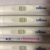 第一个是金绣儿昨天下午十七点，第二个是可丽兰昨天晚上21:00.第三个中午十二点，第四个是下午十七点，...