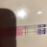 按照推算，这个月还有两天来月经，这是最近几天排卵试纸测的，不明白是什么意思，各路大神请指点！谢谢！